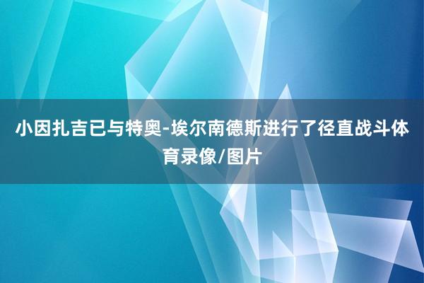 小因扎吉已与特奥-埃尔南德斯进行了径直战斗体育录像/图片