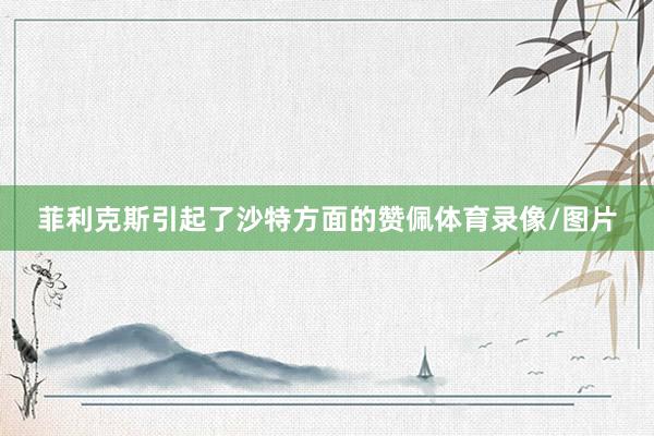 菲利克斯引起了沙特方面的赞佩体育录像/图片