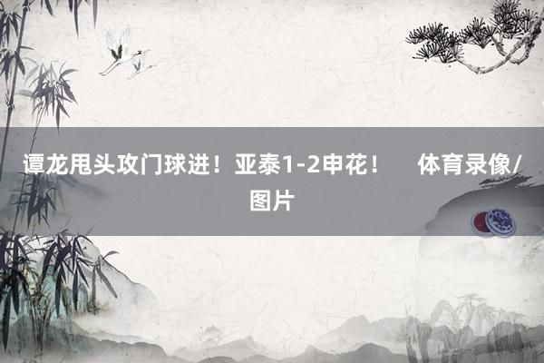 谭龙甩头攻门球进！亚泰1-2申花！ 体育录像/图片
