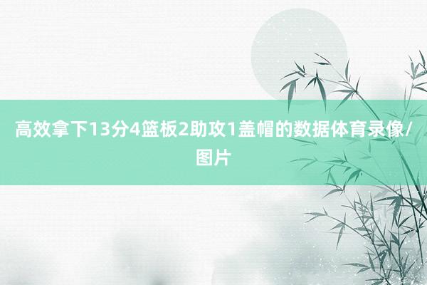 高效拿下13分4篮板2助攻1盖帽的数据体育录像/图片