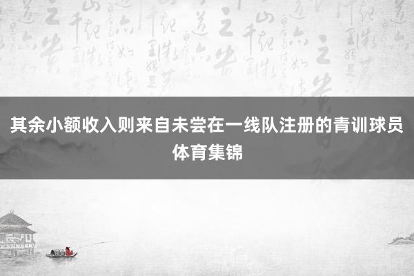 其余小额收入则来自未尝在一线队注册的青训球员体育集锦