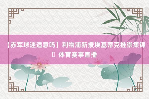 【赤军球迷适意吗】利物浦新援埃基蒂克推崇集锦⭐体育赛事直播