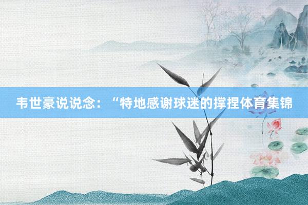 韦世豪说说念：“特地感谢球迷的撑捏体育集锦