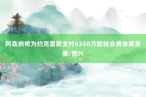 阿森纳将为约克雷斯支付6350万欧转会费体育录像/图片