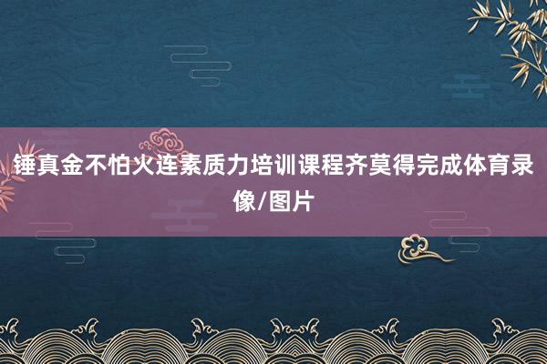 锤真金不怕火连素质力培训课程齐莫得完成体育录像/图片