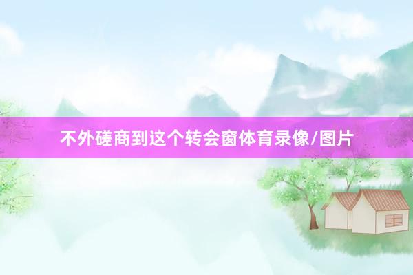 不外磋商到这个转会窗体育录像/图片
