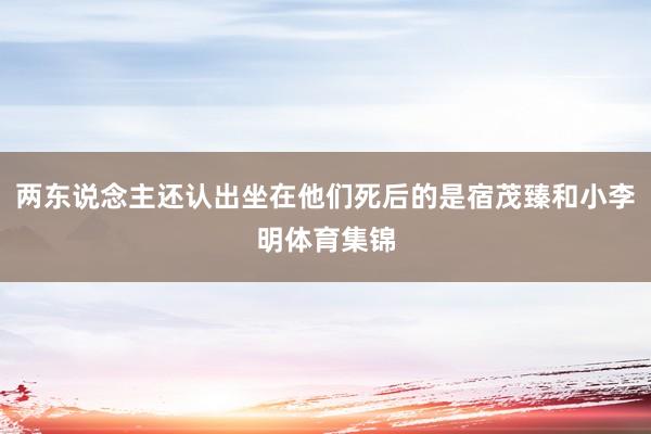 两东说念主还认出坐在他们死后的是宿茂臻和小李明体育集锦