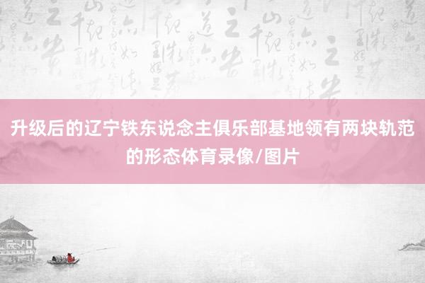 升级后的辽宁铁东说念主俱乐部基地领有两块轨范的形态体育录像/