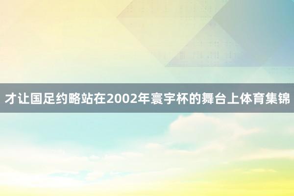 才让国足约略站在2002年寰宇杯的舞台上体育集锦