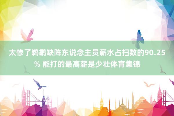 太惨了鹈鹕缺阵东说念主员薪水占扫数的90.25% 能打的最高
