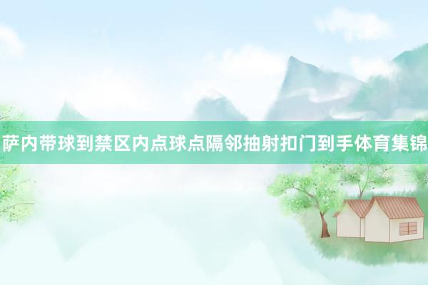 萨内带球到禁区内点球点隔邻抽射扣门到手体育集锦