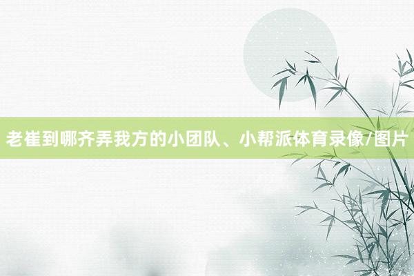 老崔到哪齐弄我方的小团队、小帮派体育录像/图片