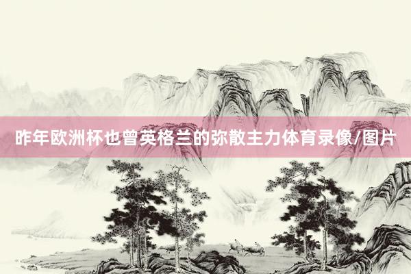 昨年欧洲杯也曾英格兰的弥散主力体育录像/图片
