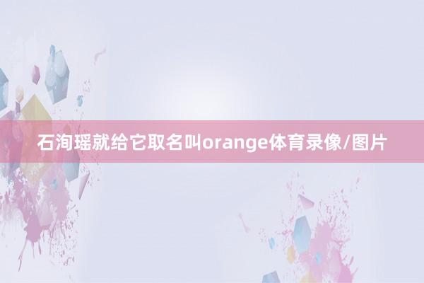 石洵瑶就给它取名叫orange体育录像/图片