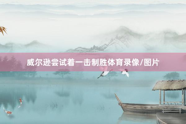威尔逊尝试着一击制胜体育录像/图片