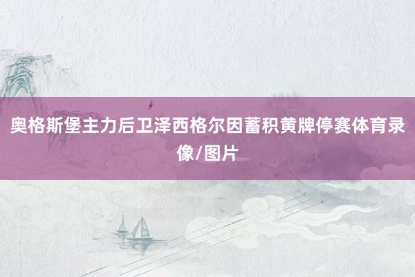 奥格斯堡主力后卫泽西格尔因蓄积黄牌停赛体育录像/图片