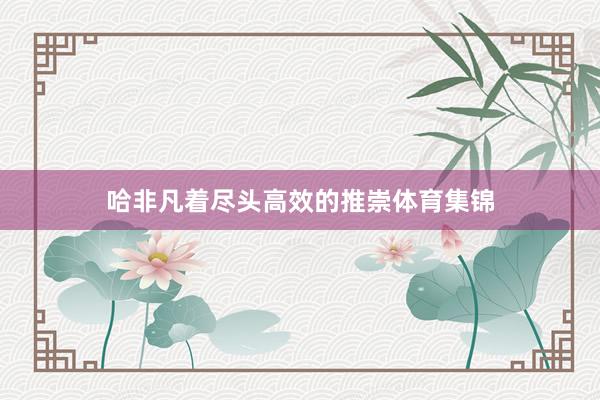 哈非凡着尽头高效的推崇体育集锦