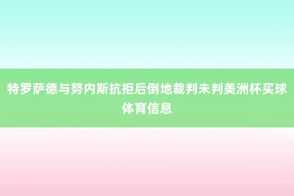 特罗萨德与努内斯抗拒后倒地裁判未判美洲杯买球体育信息