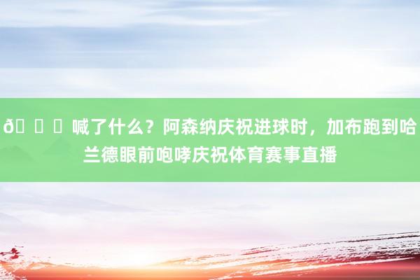 👀喊了什么？阿森纳庆祝进球时，加布跑到哈兰德眼前咆哮庆祝体育赛事直播