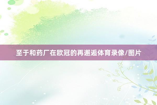 至于和药厂在欧冠的再邂逅体育录像/图片
