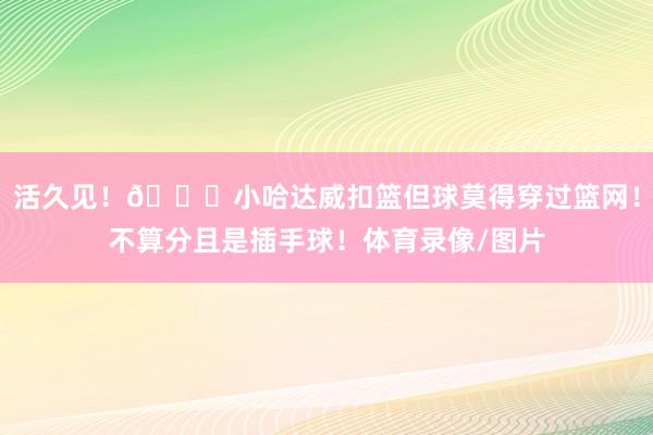活久见！💀小哈达威扣篮但球莫得穿过篮网！不算分且是插手球！体