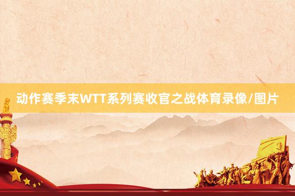 动作赛季末WTT系列赛收官之战体育录像/图片