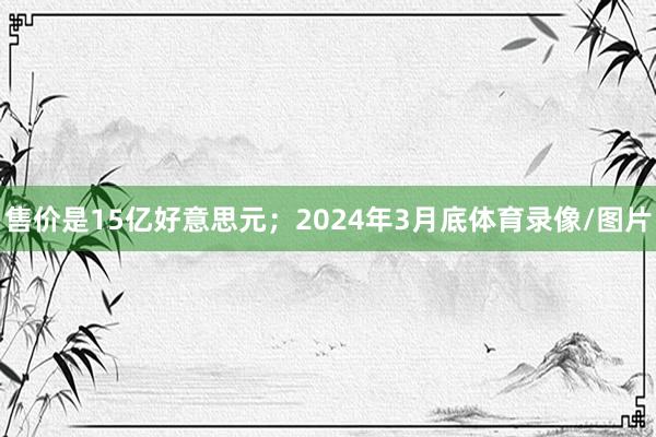 售价是15亿好意思元；2024年3月底体育录像/图片