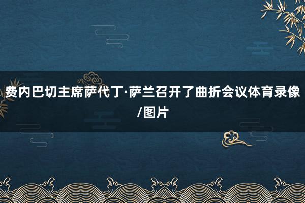 费内巴切主席萨代丁·萨兰召开了曲折会议体育录像/图片