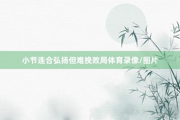 小节连合弘扬但难挽败局体育录像/图片