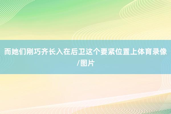 而她们刚巧齐长入在后卫这个要紧位置上体育录像/图片