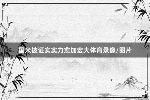 国米被证实实力愈加宏大体育录像/图片