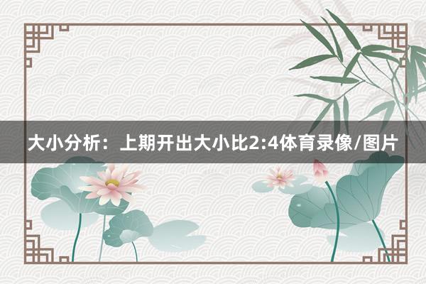 大小分析：上期开出大小比2:4体育录像/图片
