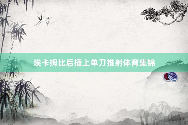 埃卡姆比后插上单刀推射体育集锦