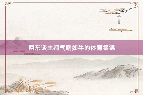 两东谈主都气喘如牛的体育集锦