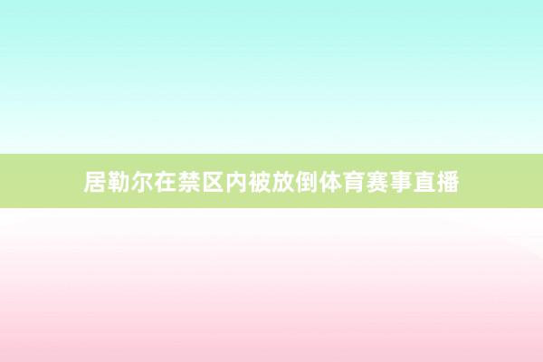 居勒尔在禁区内被放倒体育赛事直播