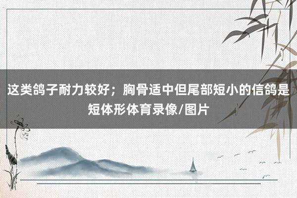 这类鸽子耐力较好；胸骨适中但尾部短小的信鸽是短体形体育录像/图片