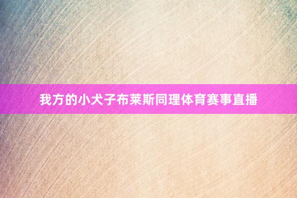 我方的小犬子布莱斯同理体育赛事直播