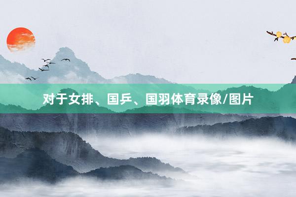 对于女排、国乒、国羽体育录像/图片