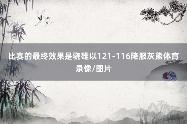 比赛的最终效果是骁雄以121-116降服灰熊体育录像/图片