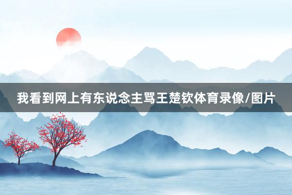 我看到网上有东说念主骂王楚钦体育录像/图片