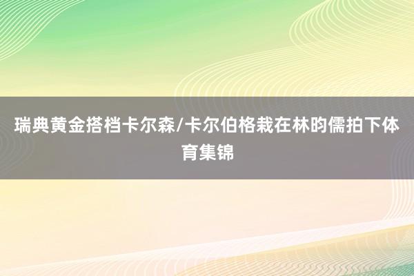 瑞典黄金搭档卡尔森/卡尔伯格栽在林昀儒拍下体育集锦
