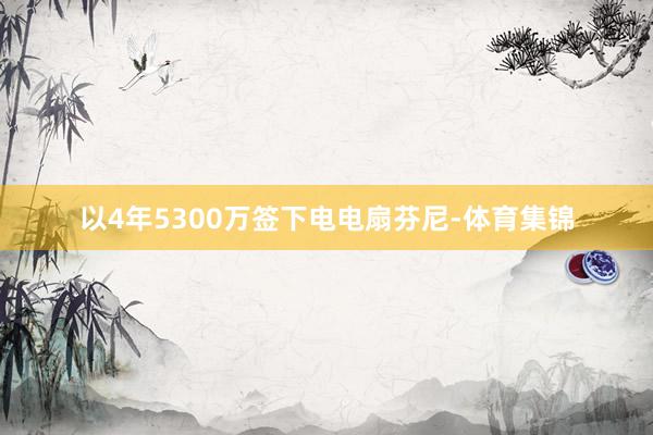 以4年5300万签下电电扇芬尼-体育集锦