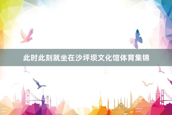 此时此刻就坐在沙坪坝文化馆体育集锦